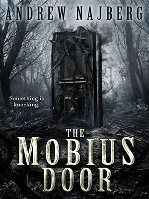 cover image of The Mobius Door